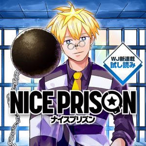 Nice Prison