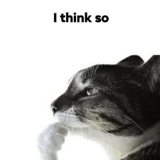 1 1 1 1 1