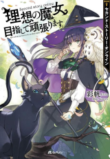 Second Story Online: Aiming to Become the World's Number 1. Ideal Witch