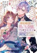 Konyaku Hakisareta Kaedama Reijou, Hatsukoi no Toshiue Ouji ni Dekiaisareru @COMIC