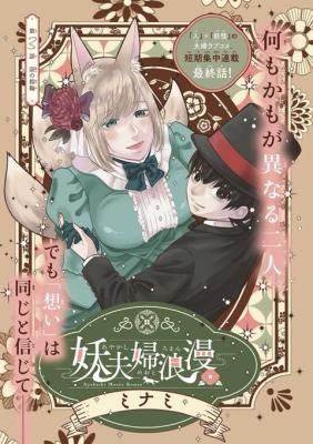 Ayakashi Meoto Roman