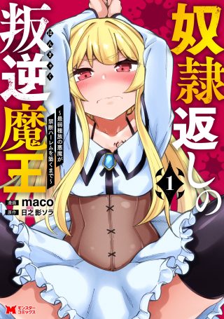 Dorei Gaeshi no Hangyaku Maou ~Saijaku Shuzoku no Akuma ga Kindan Harem o Kizuku made~