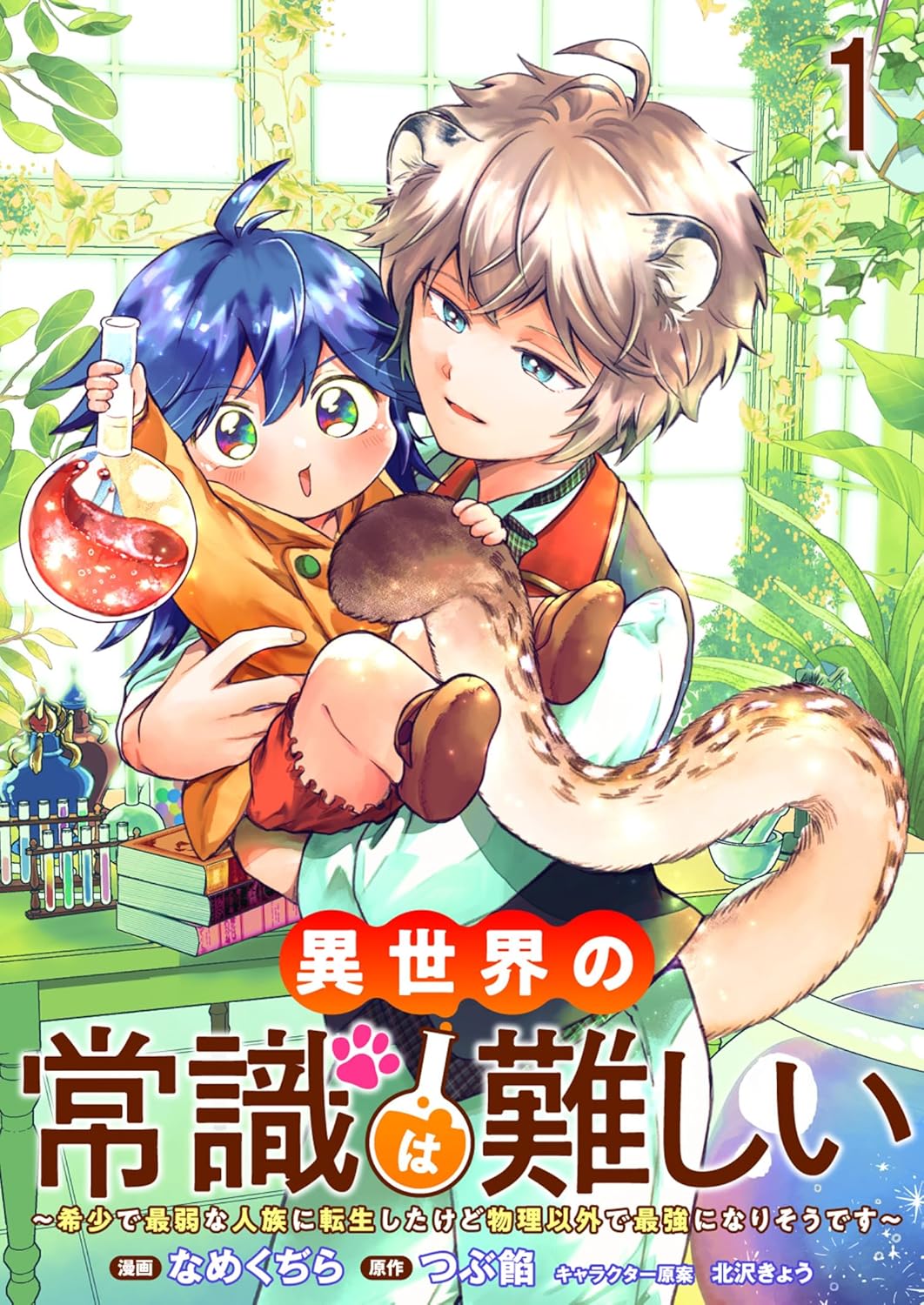 Isekai no Joushiki wa Muzukashii