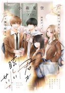 Kimi ga Mabushii Sei De