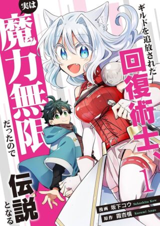 Guild o Tsuihou Sareta Kaifuku Jutsushi, Jitsu wa Maryoku Mugen Nanode Kikaku Gai no Kaifuku Mahou de Densetsu to Naru